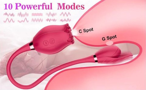 Miss Coyness USB 10 function Miss Coyness USB 10 function