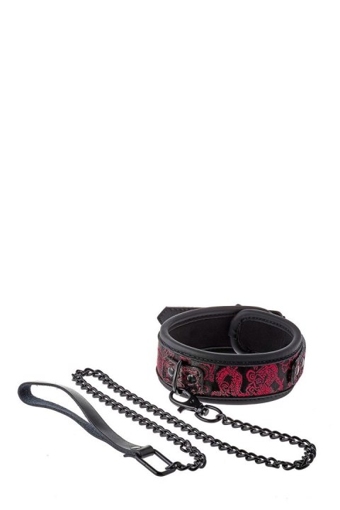 Obroża ze smyczą - BLAZE DELUXE COLLAR & LEASH Obroża ze smyczą - BLAZE DELUXE COLLAR & LEASH