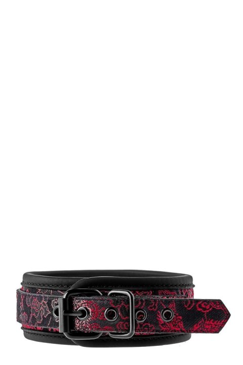 Obroża ze smyczą - BLAZE DELUXE COLLAR & LEASH Obroża ze smyczą - BLAZE DELUXE COLLAR & LEASH