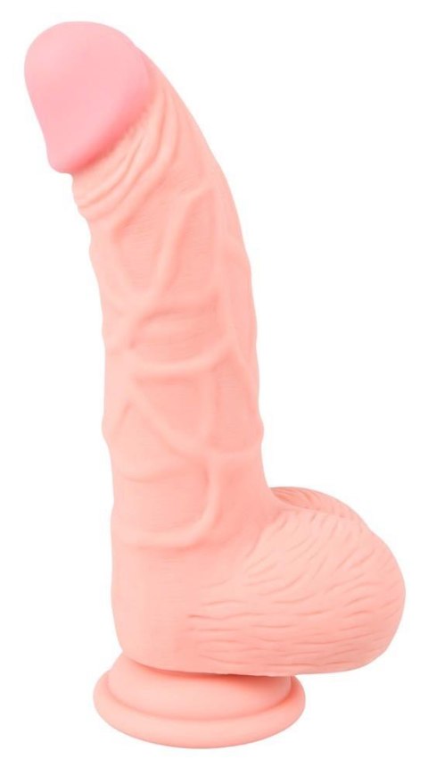 Dildo - Medical Silicone 20 cm Dildo - Medical Silicone 20 cm
