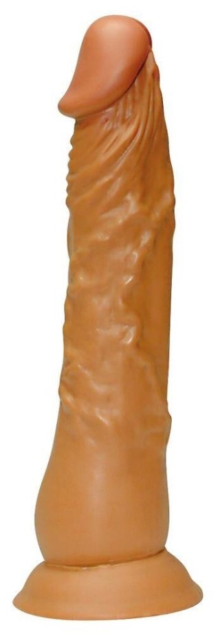 Dildo - Latin Lover