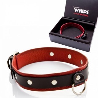 Obroża damska średnia - Whips Collections