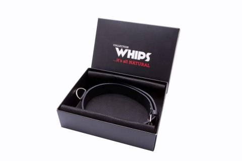 Obroża męska wąska - Whips Collections Obroża męska wąska - Whips Collections