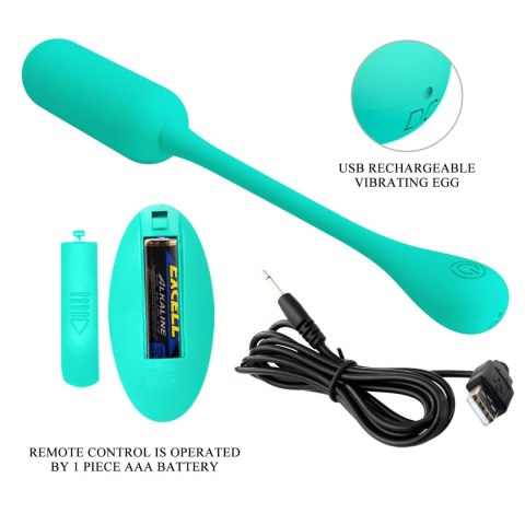 PRETTY LOVE - LECHIES Dream chaser 5, Green, Wireless remote control 12 vibration functions Memory function PRETTY LOVE - LECHIES Dream chaser 5, Green, Wireless remote control 12 vibration functions Memory function