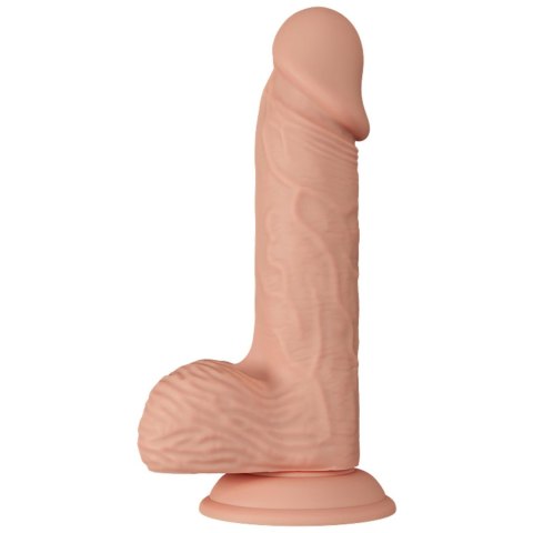 BAILE-Beautiful Catoblepas 8.1"""" BAILE-Beautiful Catoblepas 8.1""""