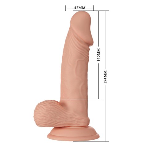 BAILE-Beautiful Zebulon 7.6"""" BAILE-Beautiful Zebulon 7.6""""