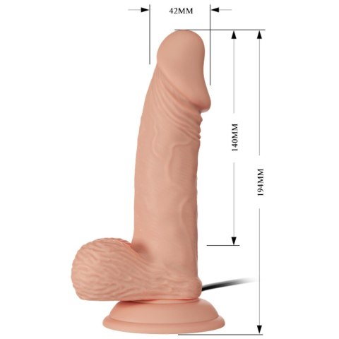 BAILE-Beautiful Zebulon Vibration 7.6"""" BAILE-Beautiful Zebulon Vibration 7.6""""