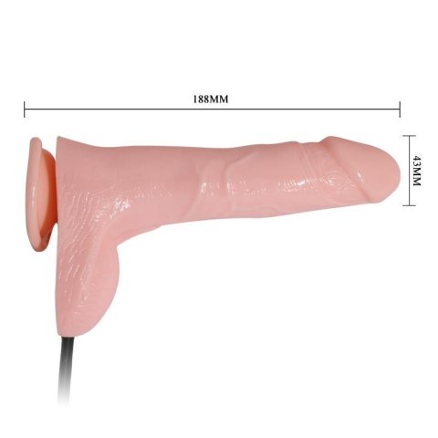BAILE- INFLATABLE BAILE- INFLATABLE
