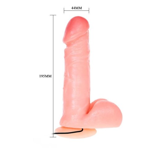 BAILE - REALISTIC MALE COCK AND TIGHT ASS, Vibration Suction base BAILE - REALISTIC MALE COCK AND TIGHT ASS, Vibration Suction base