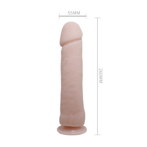 BAILE - The Big Penis BAILE - The Big Penis