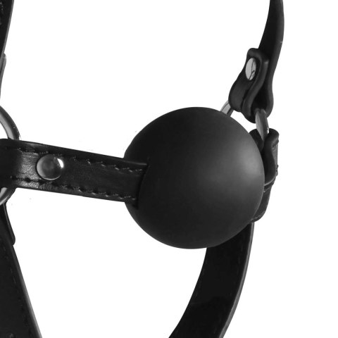 Blindfolded Head Harness with Solid Ball Gag - Black Blindfolded Head Harness with Solid Ball Gag - Black