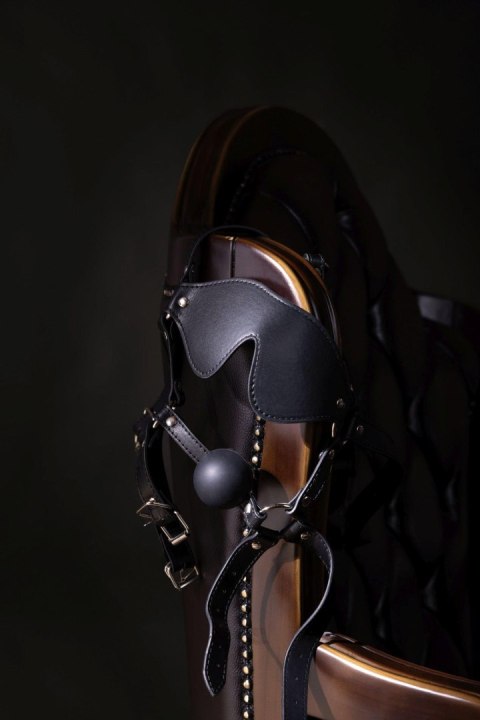 Blindfolded Head Harness with Solid Ball Gag - Black Blindfolded Head Harness with Solid Ball Gag - Black