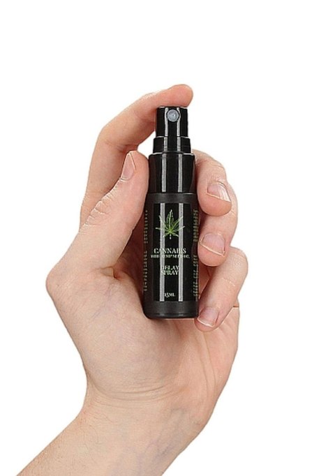 Pharmquests - Spray opóźniający - Cannabis With Hemp Seed Oil - Delay Spray - 15 ml Pharmquests - Spray opóźniający - Cannabis With Hemp Seed Oil - Delay Spray - 15 ml
