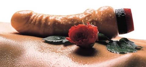 Natural Vibrator Natural Vibrator