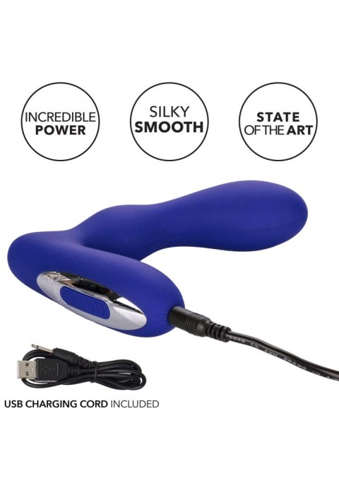 Eclipse Pleasure Probe Blue Eclipse Pleasure Probe Blue
