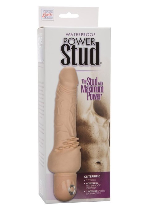 Power Stud Cliterrific Light skin tone Power Stud Cliterrific Light skin tone