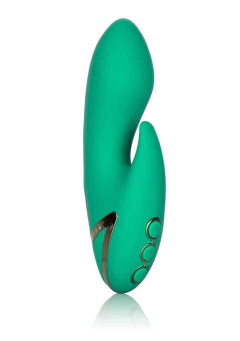 Sierra Sensation Green Sierra Sensation Green