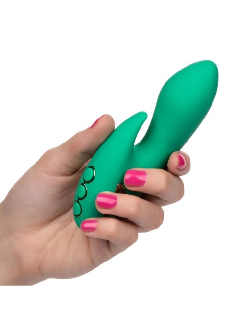 Sierra Sensation Green Sierra Sensation Green
