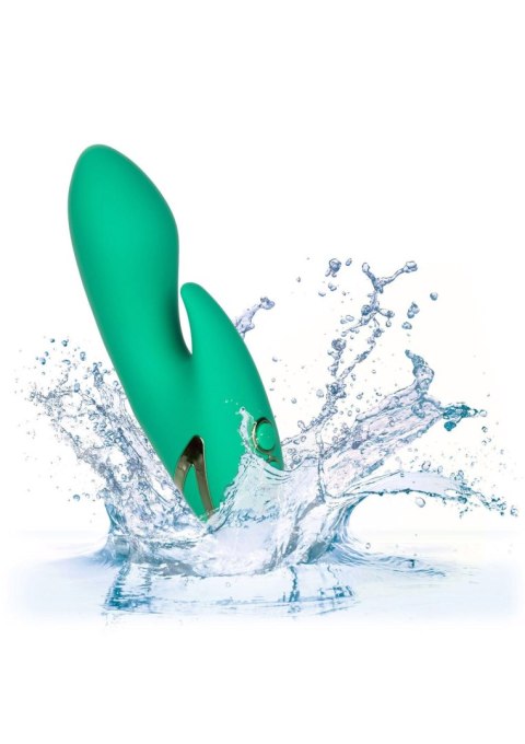 Sierra Sensation Green Sierra Sensation Green