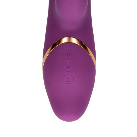 3 Up-and-Down Moving Rings Vibrator 3 Up-and-Down Moving Rings Vibrator