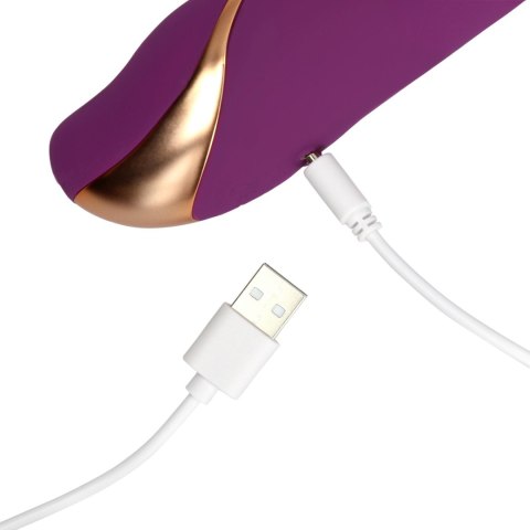 3 Up-and-Down Moving Rings Vibrator 3 Up-and-Down Moving Rings Vibrator