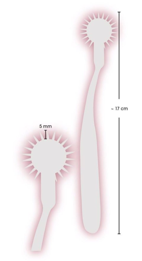 Pin Wheel Pin Wheel