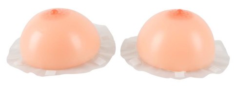 Breasts with Bra Breasts with Bra