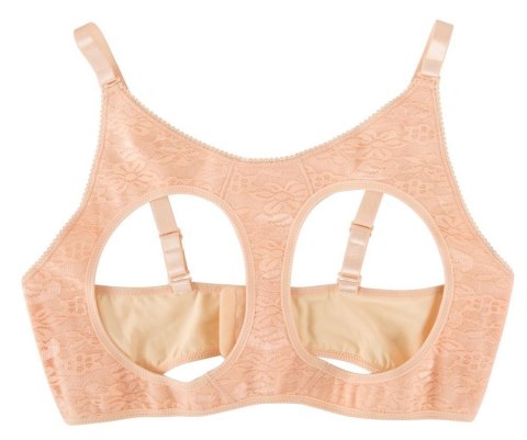 Breasts with Bra Breasts with Bra