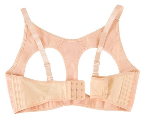 Breasts with Bra Breasts with Bra
