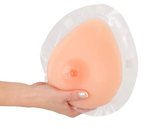 Breasts with Bra Breasts with Bra