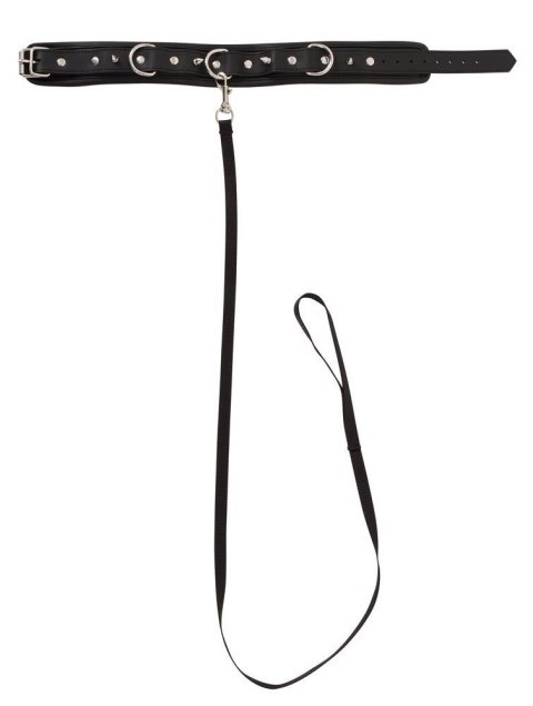 Collar Leash Collar Leash