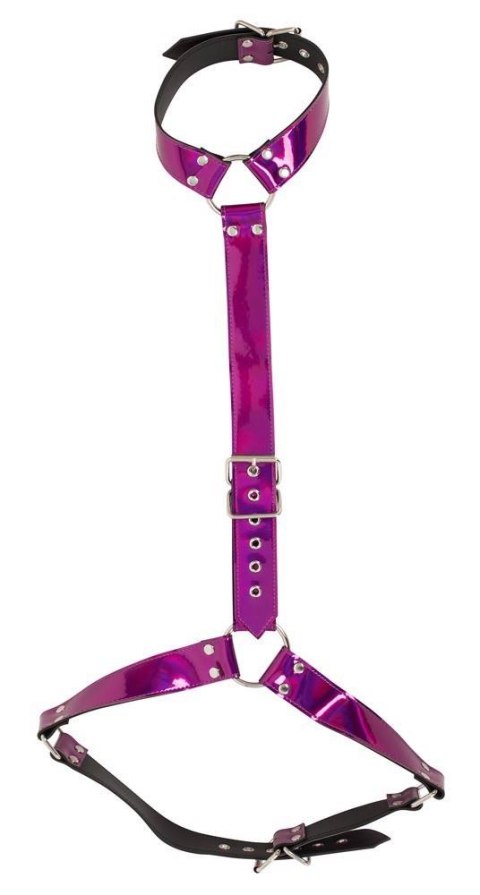 Harness S-L Harness S-L