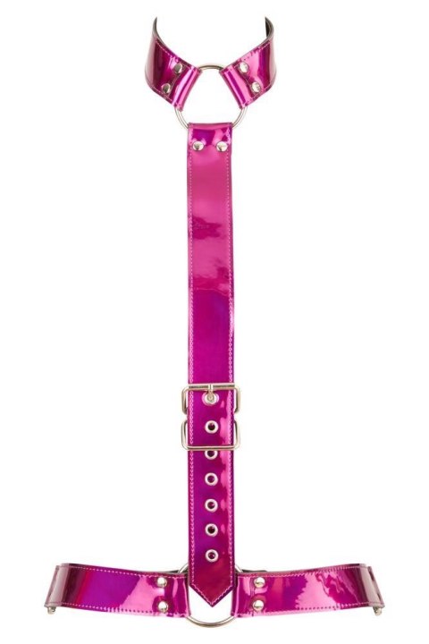Harness S-L Harness S-L
