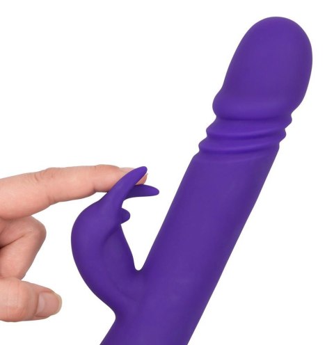 Rabbit Skater Purple Rabbit Skater Purple