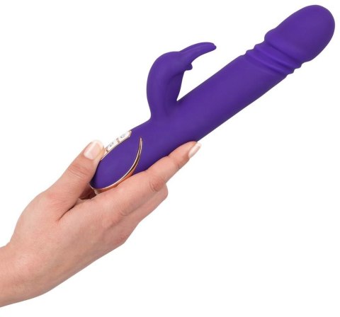 Rabbit Skater Purple Rabbit Skater Purple