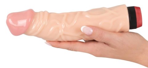 Vibrator `Pasha` Vibrator `Pasha`