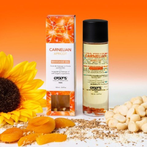 Exsens - Olejek do masażu - CARNELIAN APRICOT Organic Massage Oil with stones 100 ml Exsens - Olejek do masażu - CARNELIAN APRICOT Organic Massage Oil with stones 100 ml