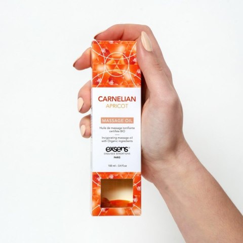 Exsens - Olejek do masażu - CARNELIAN APRICOT Organic Massage Oil with stones 100 ml Exsens - Olejek do masażu - CARNELIAN APRICOT Organic Massage Oil with stones 100 ml