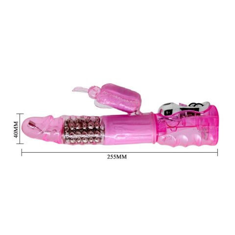 BAILE- Deluxe Dream Lover, Vibration Rotation BAILE- Deluxe Dream Lover, Vibration Rotation