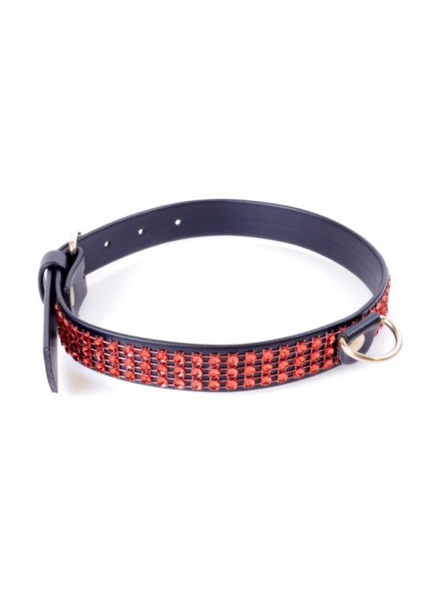Fetish B - Series Collar with crystals 2 cm Red Line Fetish B - Series Collar with crystals 2 cm Red Line