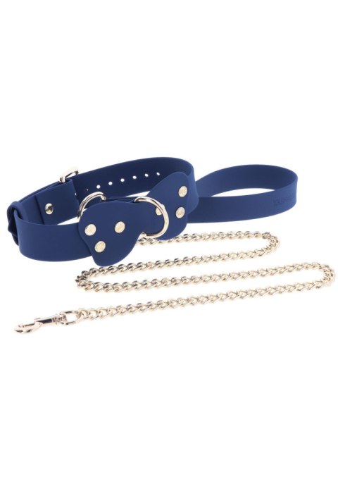 Silicone Collar and Leash Blue Silicone Collar and Leash Blue