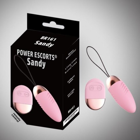 Sandy EGG Remote Control pink Sandy EGG Remote Control pink