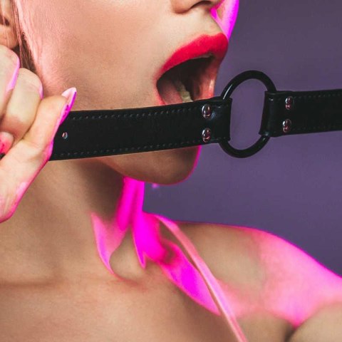 Gag Party Hard Modesty Lola Gag Party Hard Modesty Lola