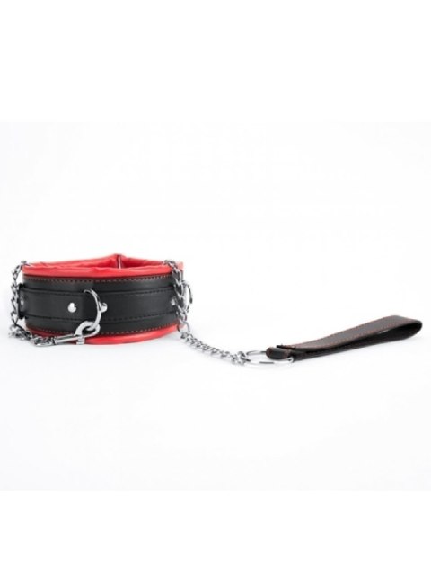 Smycz z obrożą - Red Collar And Leash Smycz z obrożą - Red Collar And Leash