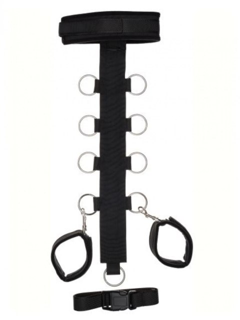 T Shape Collar And Wirst Restrain T Shape Collar And Wirst Restrain