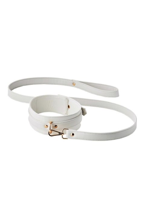 BLAZE ELITE COLLAR AND LEASH WHITE BLAZE ELITE COLLAR AND LEASH WHITE