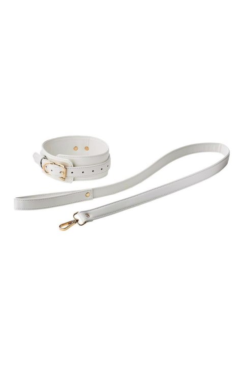 BLAZE ELITE COLLAR AND LEASH WHITE BLAZE ELITE COLLAR AND LEASH WHITE