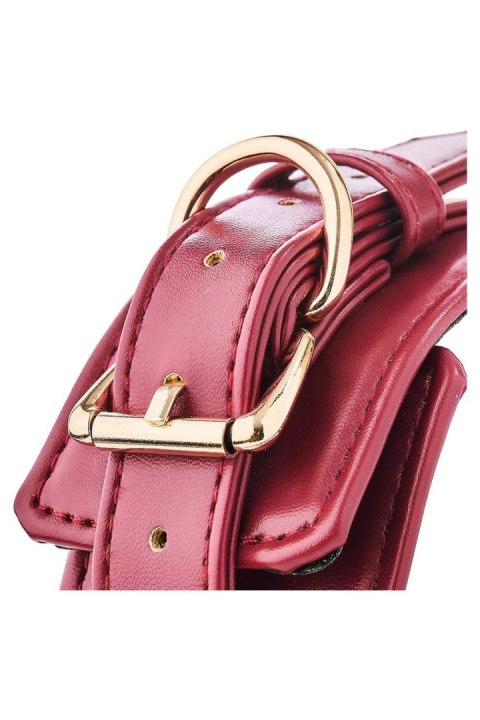 BLAZE ELITE COLLAR AND LEASH RED BLAZE ELITE COLLAR AND LEASH RED
