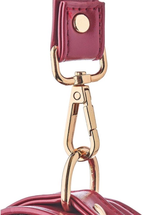 BLAZE ELITE COLLAR AND LEASH RED BLAZE ELITE COLLAR AND LEASH RED