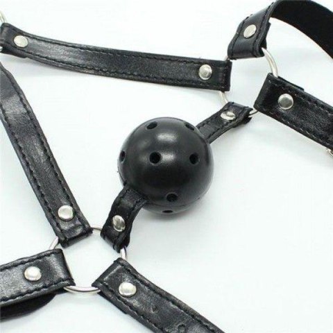 Knebel-Imbracatura Viso con morso Head Harness+Ball Gag Knebel-Imbracatura Viso con morso Head Harness+Ball Gag